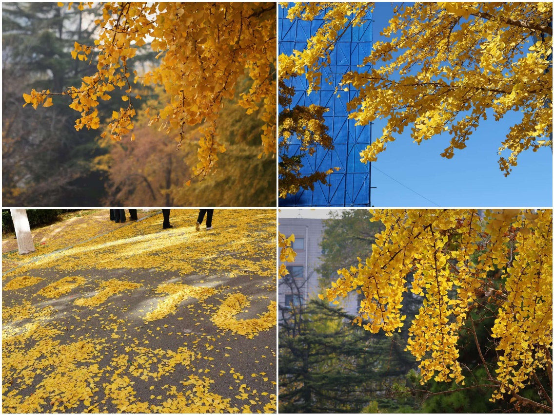 太阳网集团tcy8722